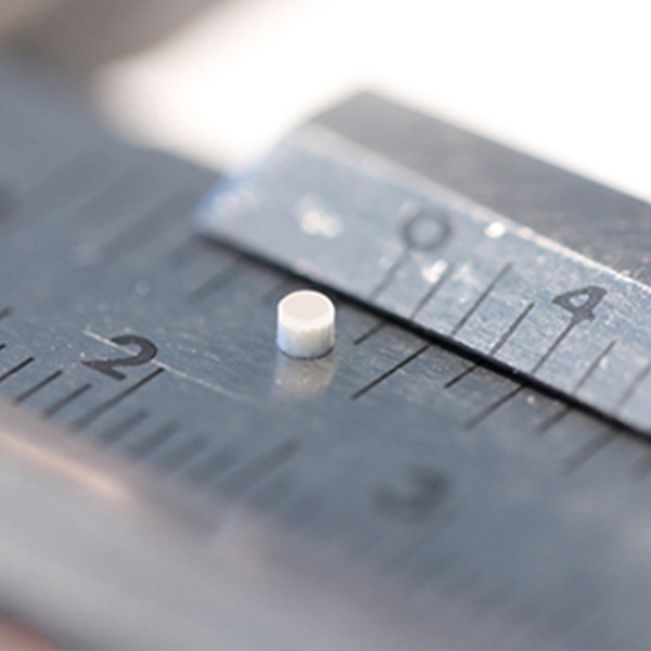 KORSCH - Tableting Scale Up - small tablet made by KORSCH